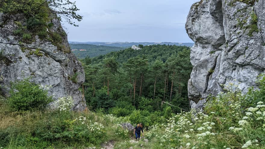 Zejście ze szczytu Góry Zborów