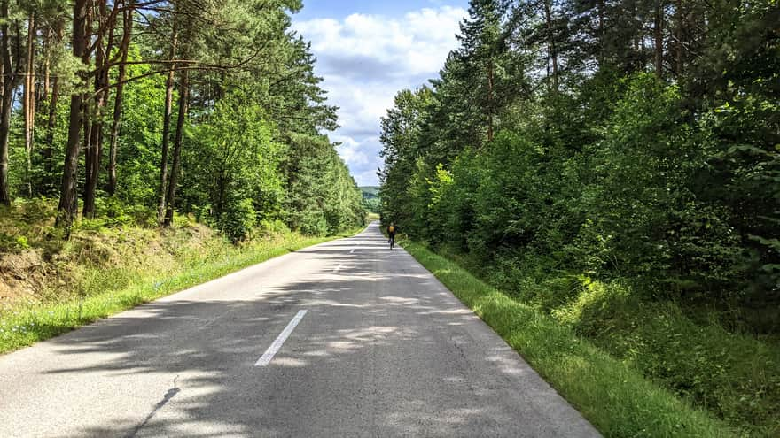 Szlak "Orlich Gniazd" przy Pustyni Siedleckiej