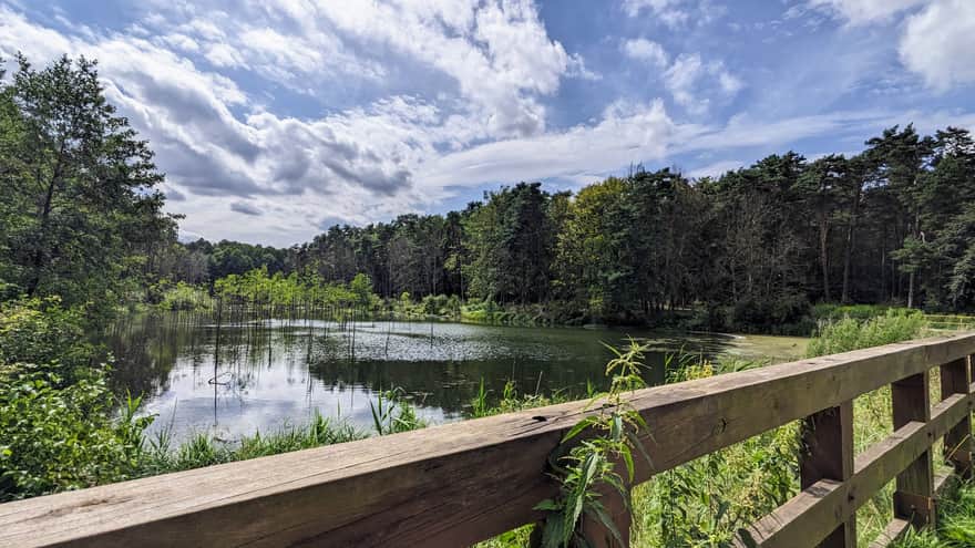 Amerykan Pond