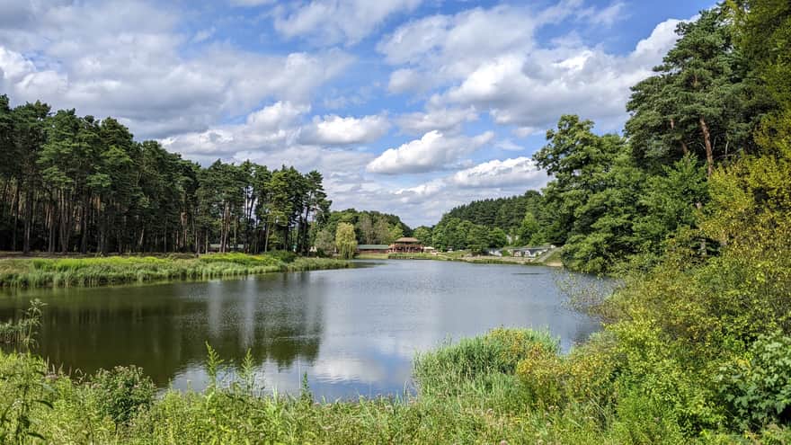 Amerykan Pond