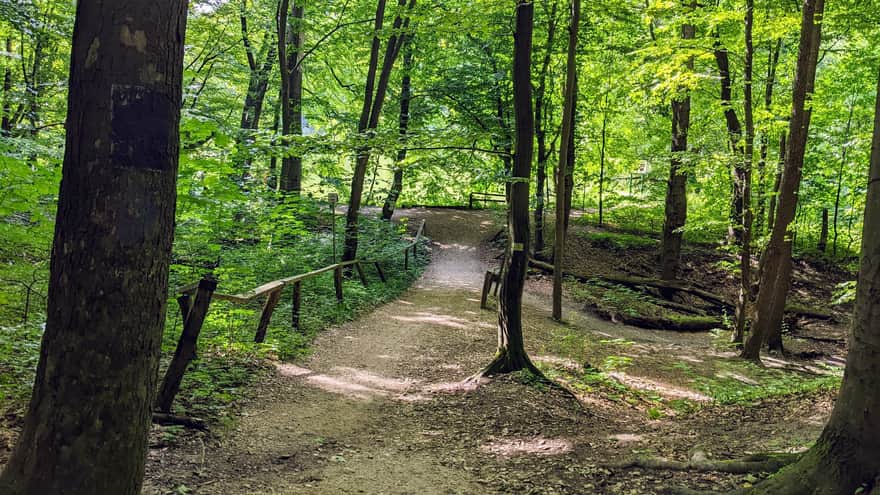Paths - Parkowe Nature Reserve