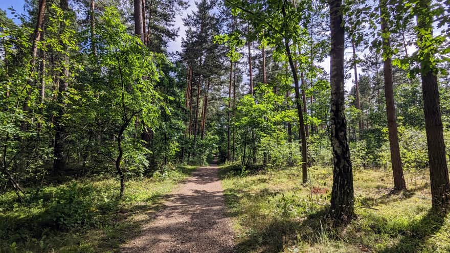Paths - Parkowe Nature Reserve