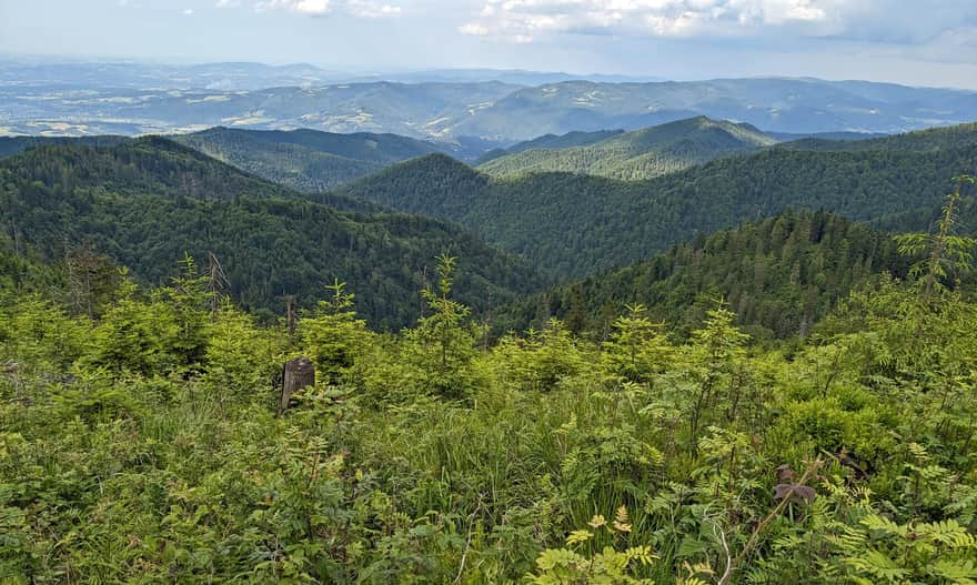 View from Złomisty Wierch to the northeast