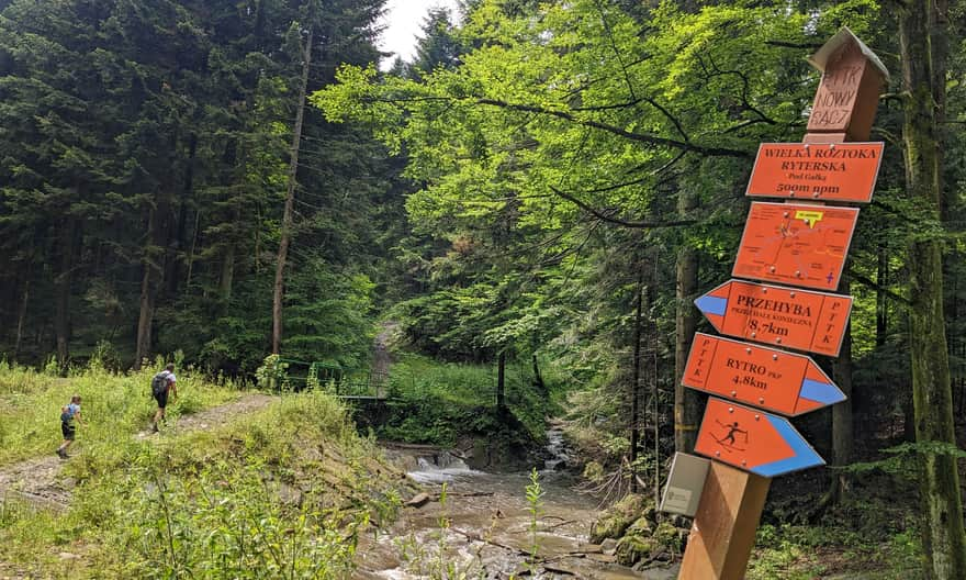 Niebieski szlak z Rytra na Przehybę - zakręt: z Doliny Roztoki Wielkiej wschodzimy w las