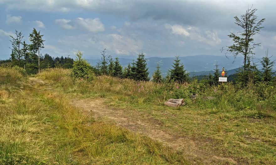 Niebieski szlak z Rytra na Przehybę - widok spod szczytu Przehyby Wielkiej na wschód