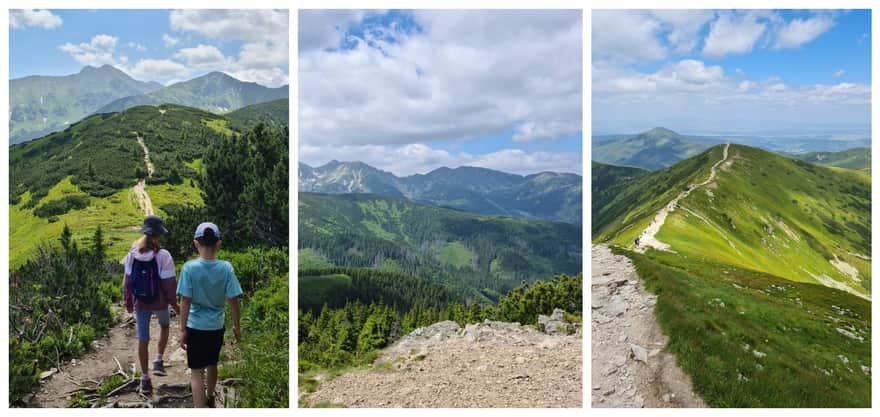 From Chochołowska Meadow to Grześ, Rakoń, and Wołowiec, photo by Agnieszka Dłużewska