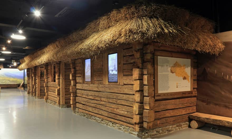 Muzeum Przyrodnicze BdPN, fot. Ewa Bujalska