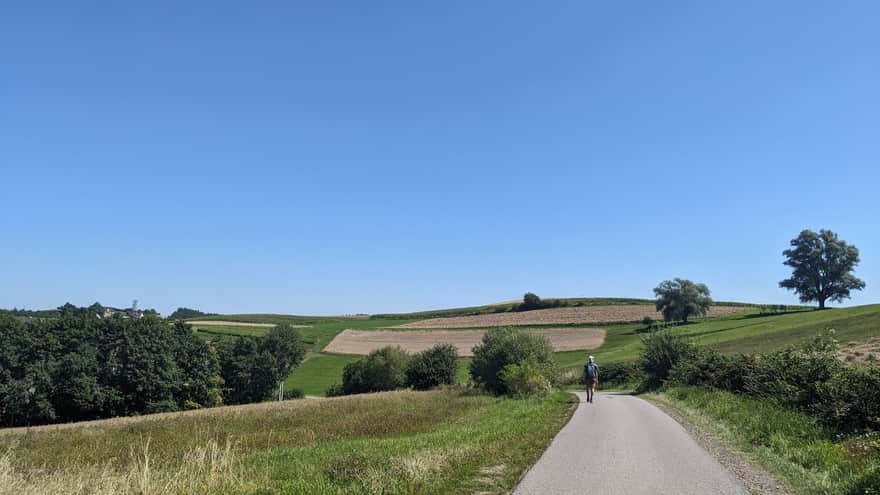 Village Road to the Observation Tower in Bruśnik