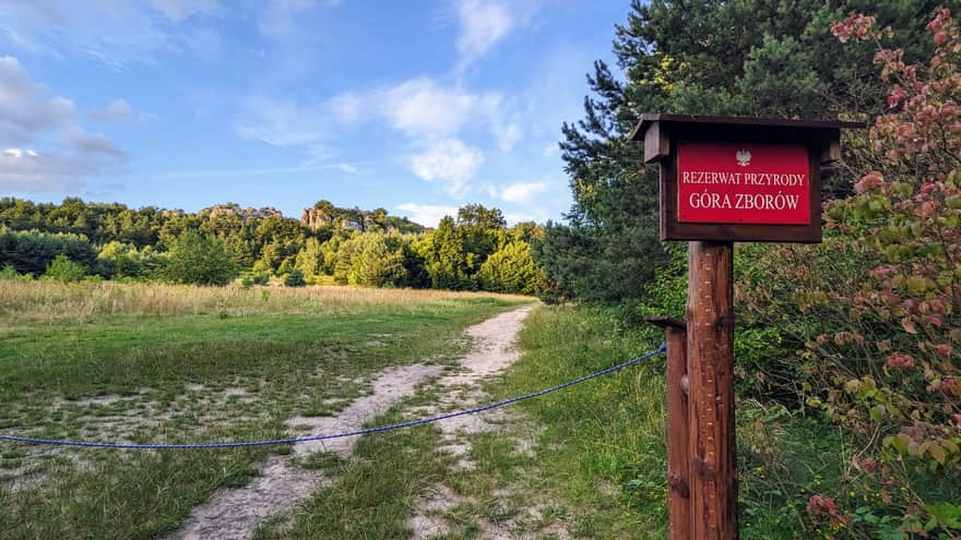 Rezerwat Przyrody Góra Zborów, Jura Krakowsko-Częstochowska