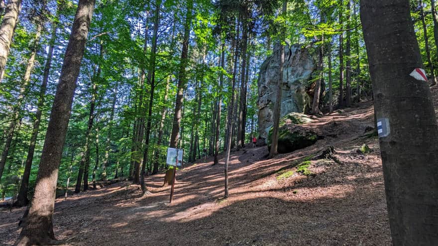 Start of the trail - Devil