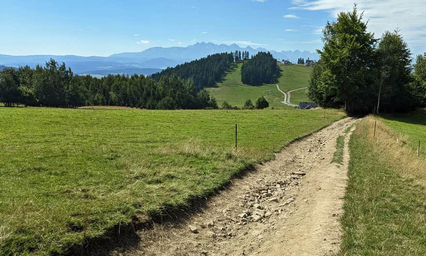 Niebieski szlak na Lubań - Góra Wdżar na tle Tatr