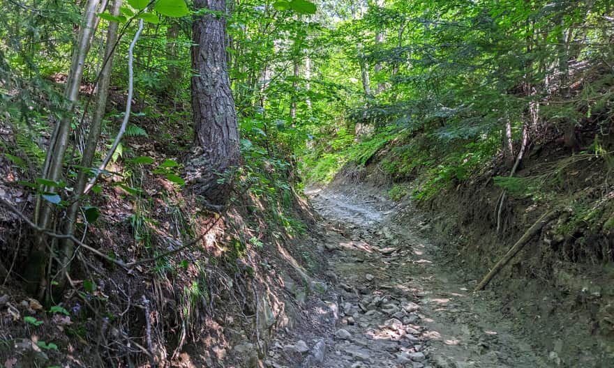 Blue trail to Lubań