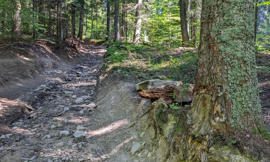 Blue trail to Lubań