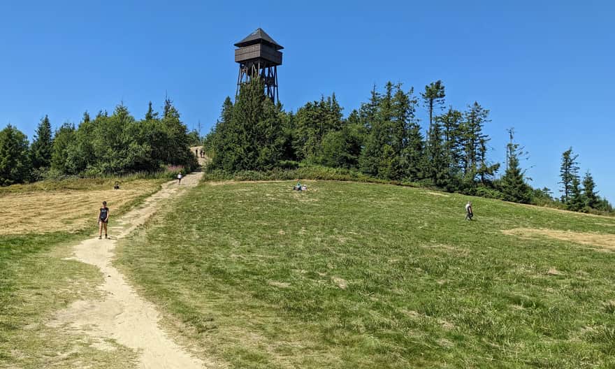 Lubań, 1211 m above sea level, meadow at the peak and lookout tower