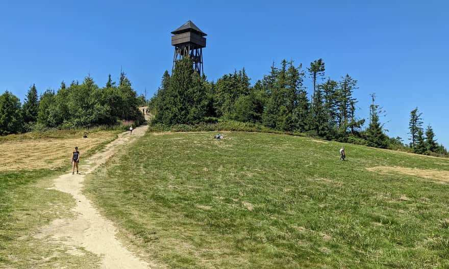 Lubań, 1211 m. n.p.m., polana na szczycie i wieża widokowa