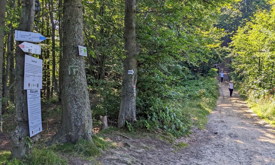 Żółty szlak Kluszkowce - Lubań.