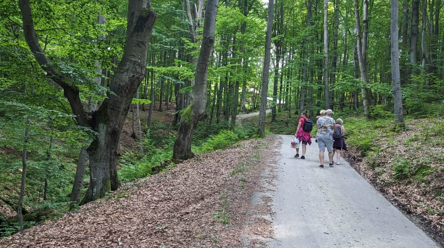 Road to the chapel on Jawor Mountain