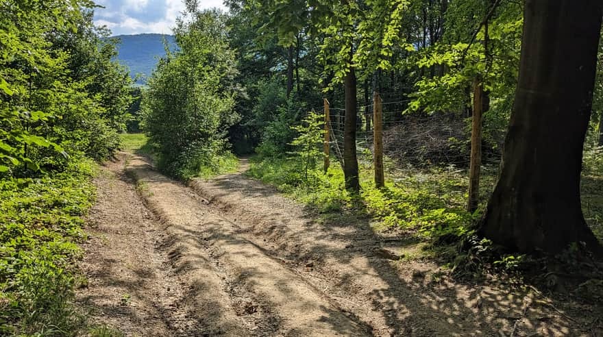 Path from the chapel on Jawor Mountain to the border trail with a viewpoint clearing