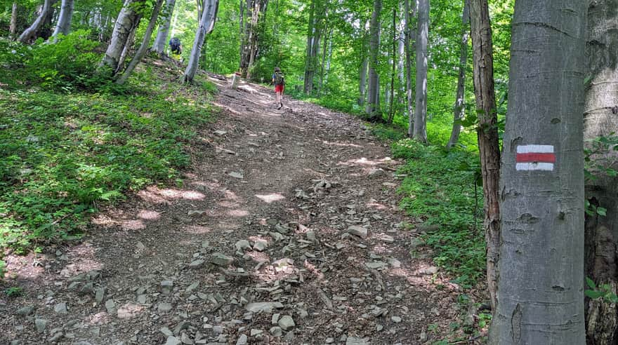 Steep ascent to Cegiełka