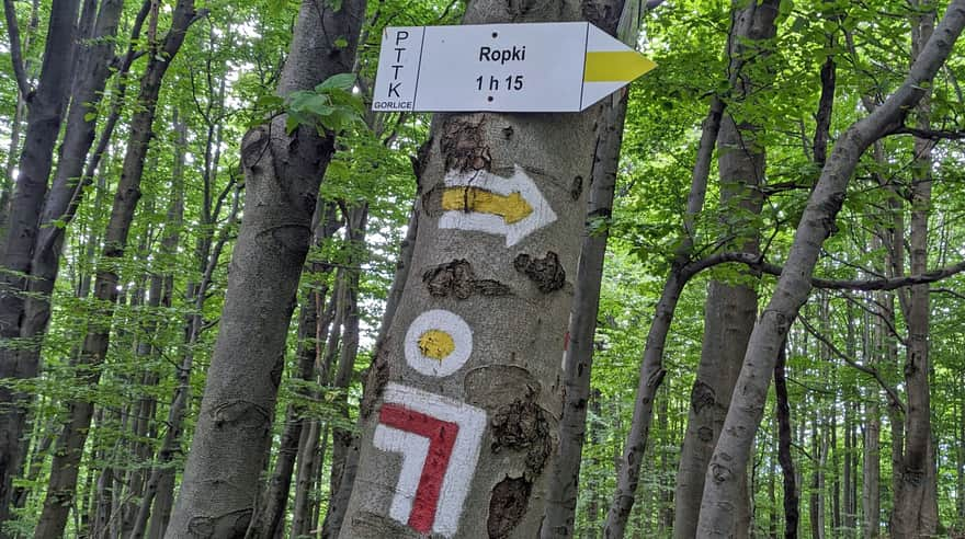 Ostry Wierch - intersection of the red and yellow trail