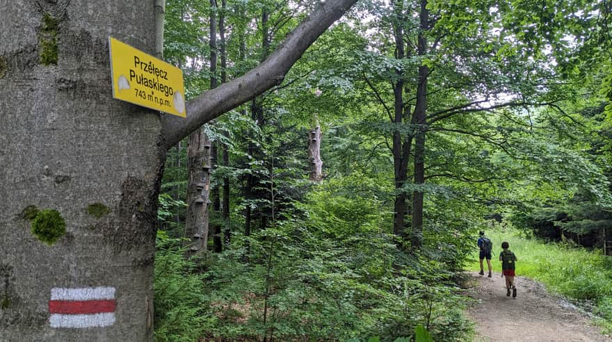 Przełęcz Pułaskiego - czerwony szlak na Lackową