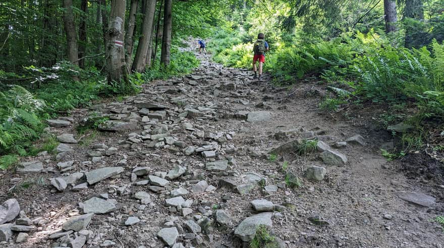 Na Lackową z Przełęczy Pułaskiego - strome podejście