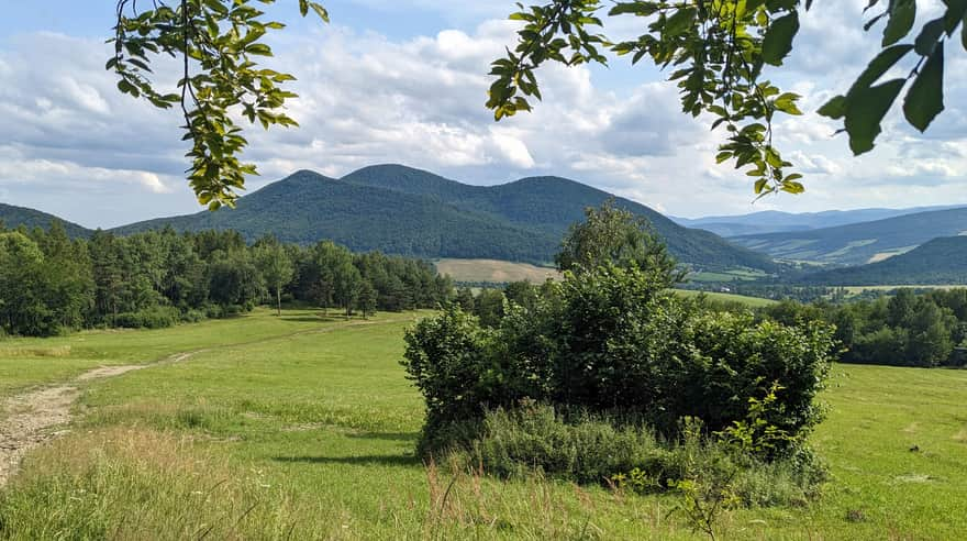 Najwyższy szczyt Beskidu Niskiego Busov, 1002 m n.p.m - widok z łąk nad Cigelką, Słowacja