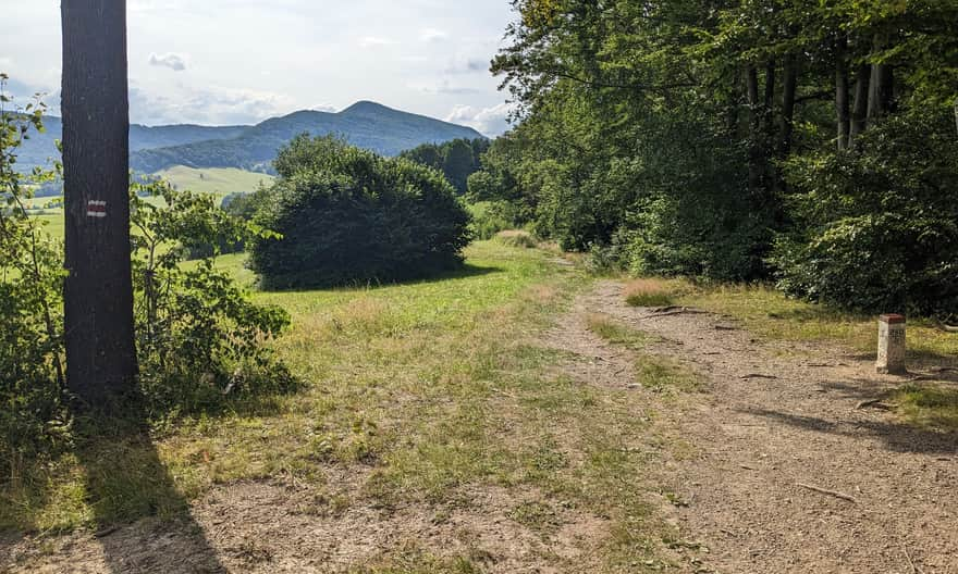 Lackowa z czerwonego szlaku granicznego (okolice Świętej Góry Jawor)