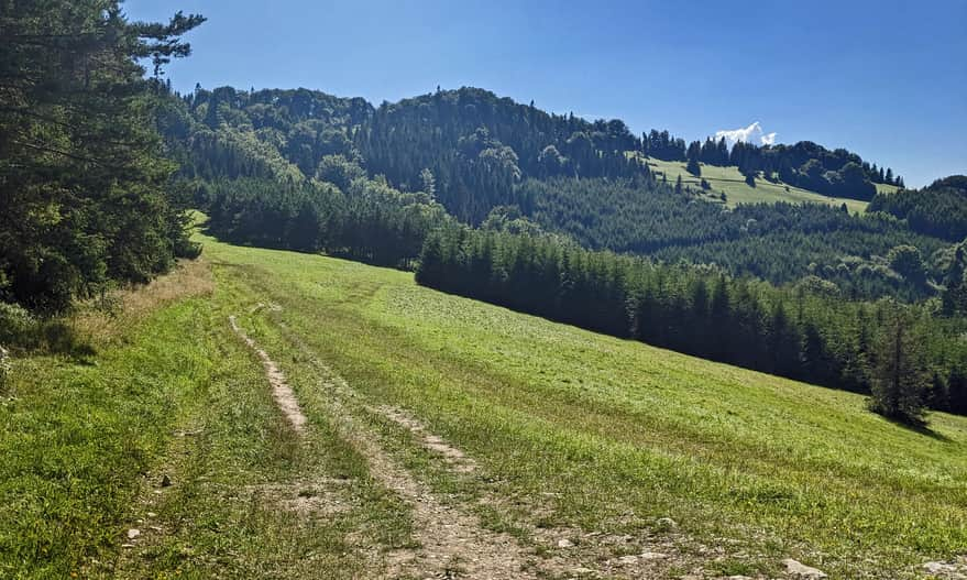 Niebieski szlak z Przełęczy Rodziela na Wysoką