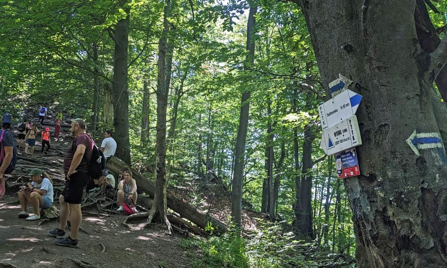 Climbing to the summit of Wysoka - the final steep ascent...