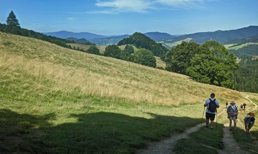 Polana pod Wysoką - lower, scenic part