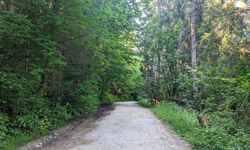 Access road to the "Pod Durbaszką" Shelter