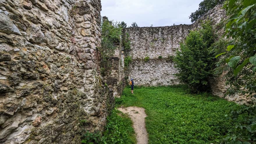 Ruiny zamku w Bydlinie