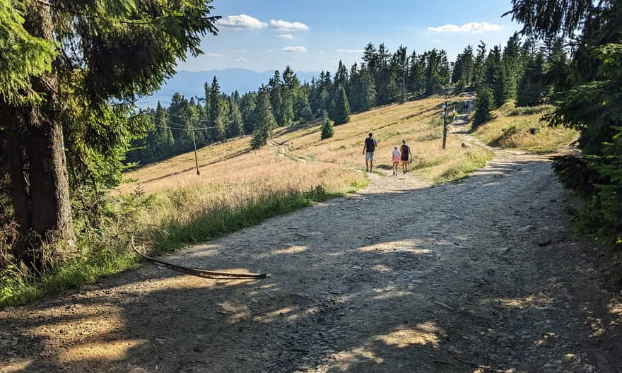 W drodze na Turbacz - Polana Wisielakówka