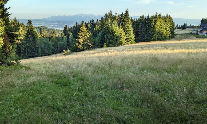 Polana Dziubasówki na żółtym szlaku z Nowego Targu na Turbacz