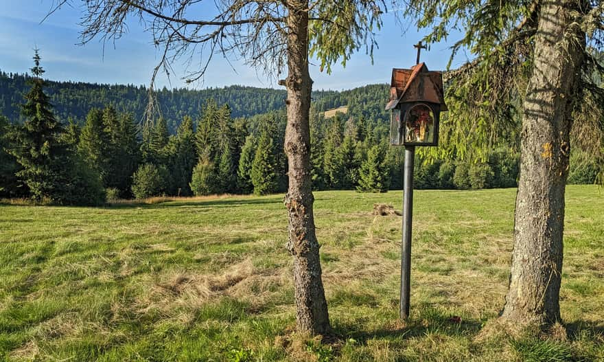 Yellow trail to Turbacz - view to the north