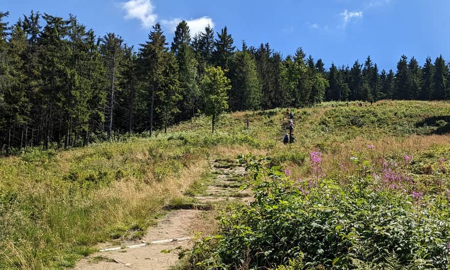 Blue Trail to Turbacz - ascent to Czoło Turbacza