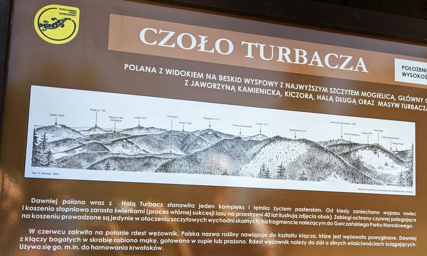 Czoło Turbacza, 1259 m above sea level - panorama description