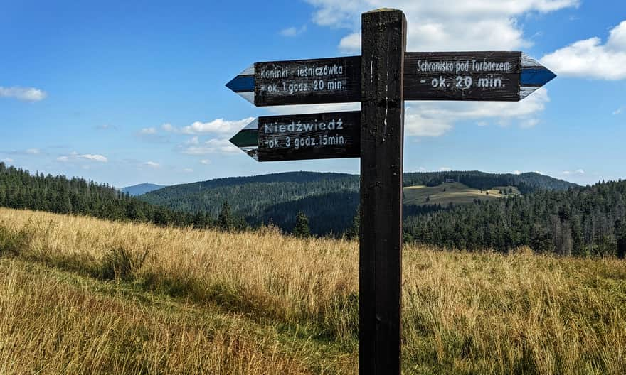 Niebieski i zielony szlak na Hali Turbacz. W tle wierzchołek Kudłonia, Mostownica, Jaworzyna Kamieniecka i Hala Długa