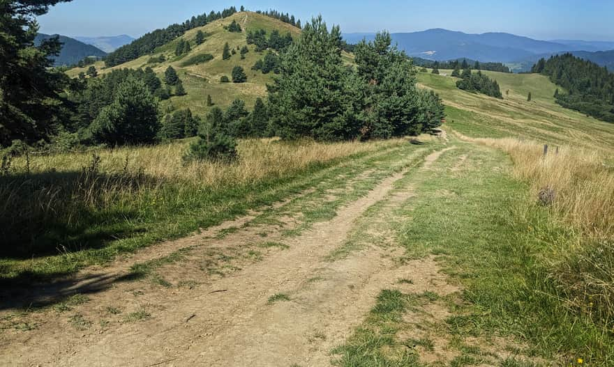 Wysoki Wierch, 898 m n.p.m. - widikowy szczyt w Małych Pieninach