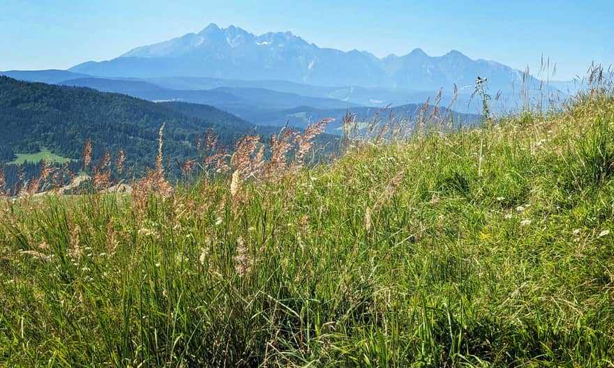 Tatry spod Wysokiego Wierchu