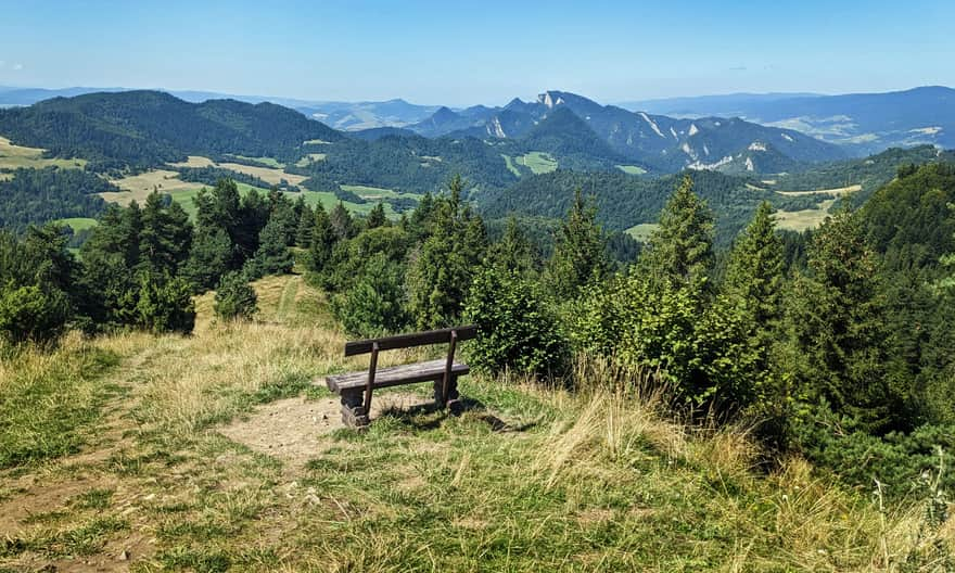 Wysoki Wierch, 898 m n.p.m. - widok na zachód: Trzy Korony