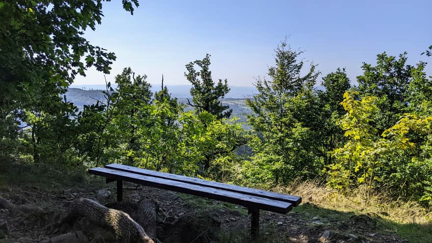 Viewpoint with a bench