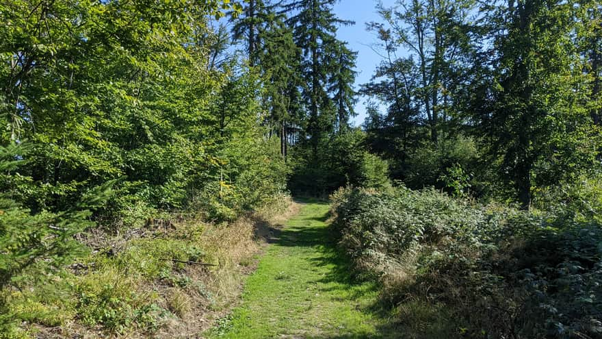 Pomiędzy Kalwarią, a Ostrą Górą