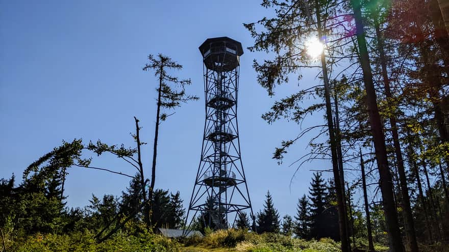 Widok na wieże widokową z niebieskiego szlaku