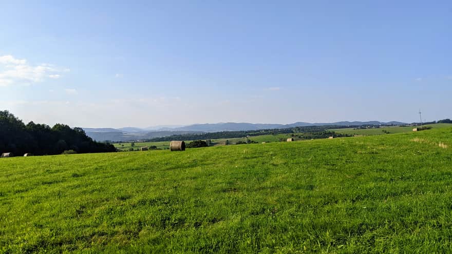 From Kłodzko to Kłodzka Góra - picturesque meadow