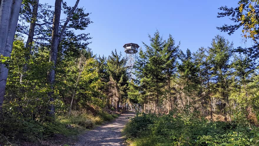 View of the viewing tower from the yellow trail