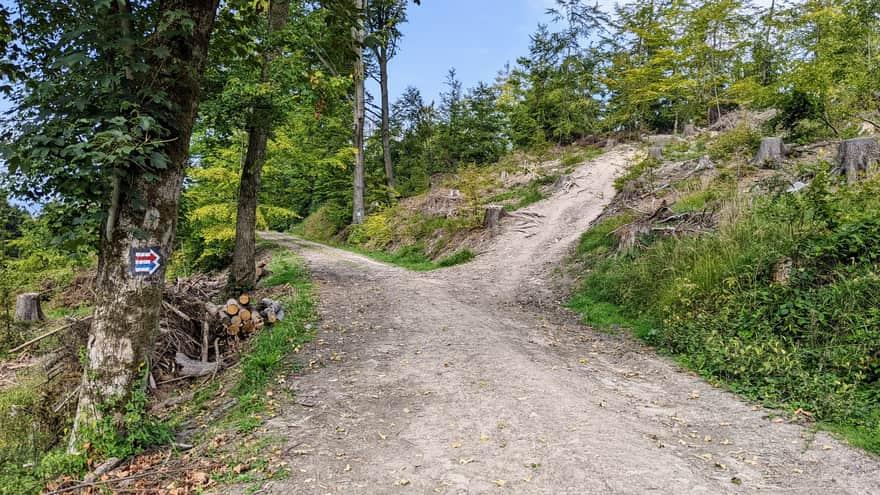 Approaching "Błędne Skały"