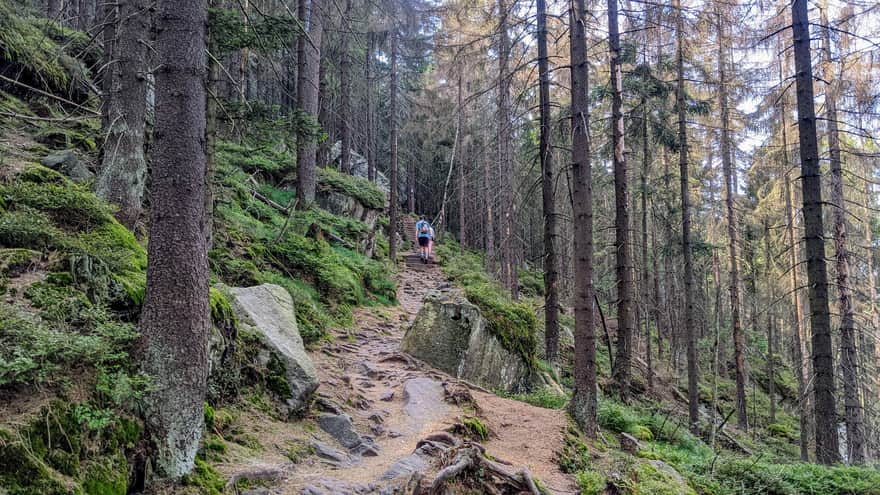 From Karlów to Błędne Skały - red trail
