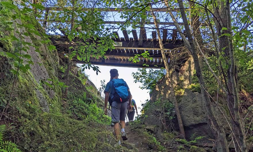 Wdżar, Papal Gorge